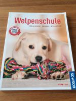 Buch "Welpenschule" Berlin - Spandau Vorschau