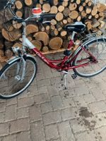 Damenrad mit Kindersitz 28 Zoll Thüringen - Tonna Vorschau