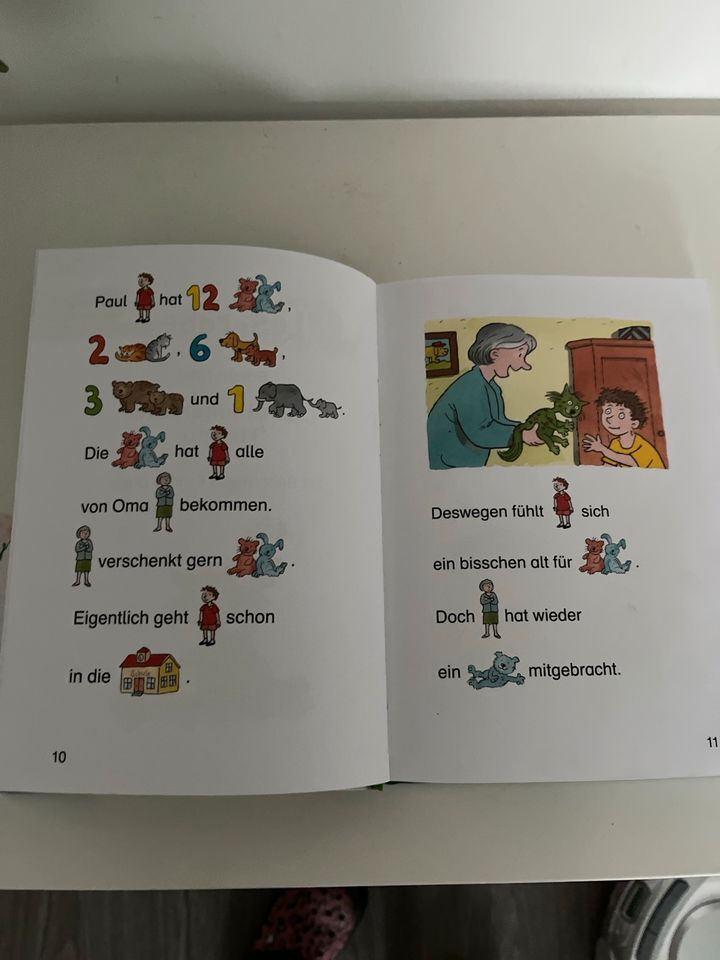 Das große Leseraben-Buch mit Sticker neuwertig in Bellheim