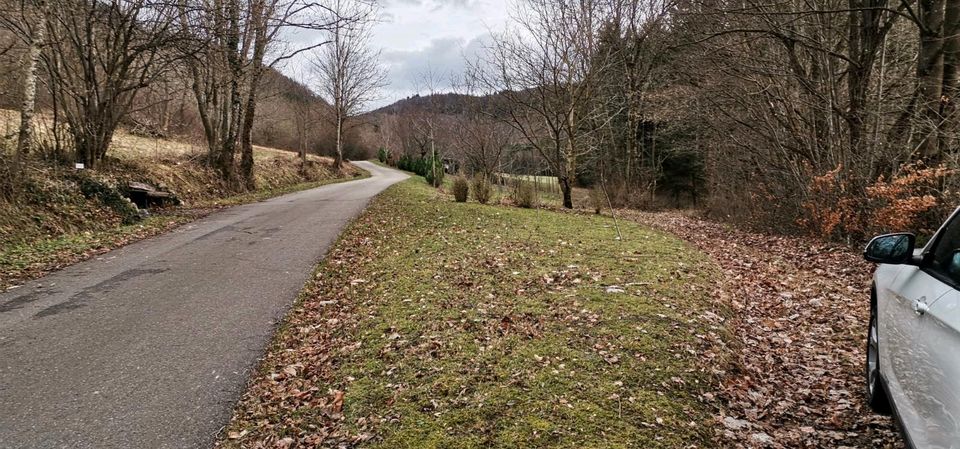 Garten Freizeitgrundstück mit gesundem Baumbestand in Schwäbisch Gmünd