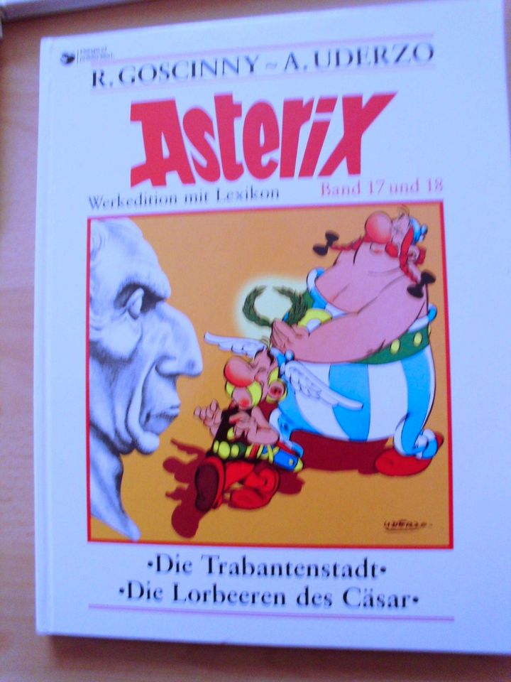 Asterix Bücher Konvolut in Jahnsdorf