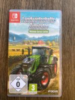 Nintendo Switch Spiel Landwirtschafts Simulator Bayern - Thalmassing Vorschau