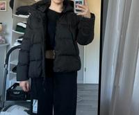 Winter Steppjacke schwarz  Neu!!!! Niedersachsen - Marschacht Vorschau