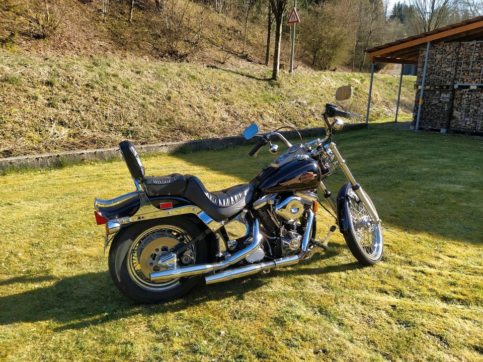 Harley Davidson Softail Custom FXST-C in Altenbeken