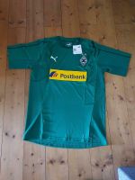 Borussia Mönchengladbach Trikot Neu Puma L Duisburg - Duisburg-Mitte Vorschau