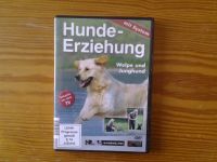 Hundeerziehung mit System (Welpe und Junghund), DVD Niedersachsen - Kalefeld Vorschau