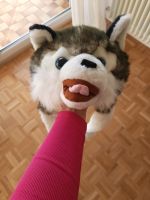 Hut Wolf Fasching Neuhausen-Nymphenburg - Neuhausen Vorschau