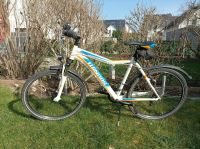 Winora Mountainbike 26" Unisex kaum benutzt Rheinland-Pfalz - Hanhofen Vorschau