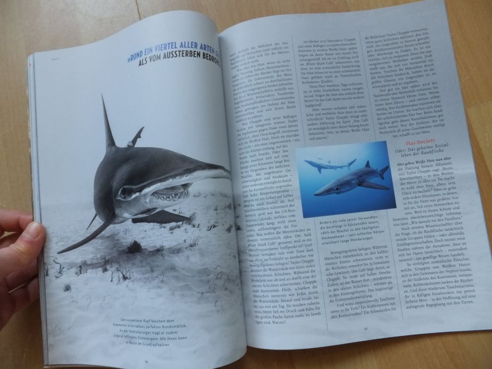 Geo kompakt, Magazin Nr. 66, Die Wunder der Meere in Husum