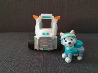 Paw Patrol Everest mit Schneemobil zum Kindertag Leipzig - Leipzig, Südvorstadt Vorschau