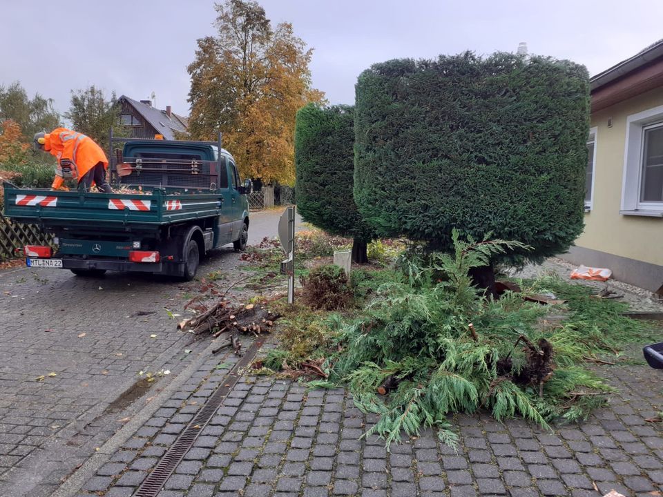 Hecke schneiden, Pflasterarbeiten, Zaunbau, Baumfällarbeiten in Hartha