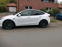 Model Y Long Range mit AHK, Borbet Felgen und Werksgarantie Nordrhein-Westfalen - Senden Vorschau