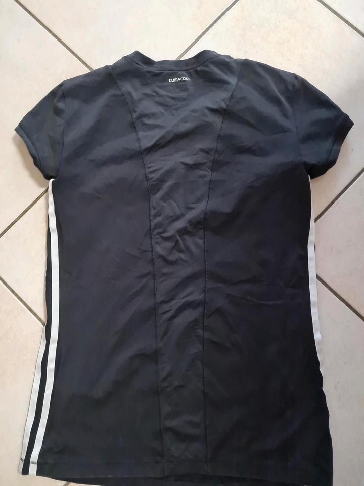 adidas sportshirt Gr. S 34/36 gr.158/164 climacool in Peine