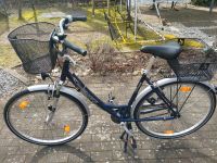 Damen Fahrrad 28 Zoll Schleswig-Holstein - Osterrönfeld Vorschau