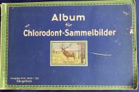 Sammelalbum Chlorodont - Säugetiere Harburg - Hamburg Neugraben Vorschau