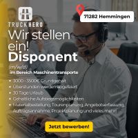 Disponent (m/w/d) im Bereich Maschinentransporte Baden-Württemberg - Hemmingen Vorschau