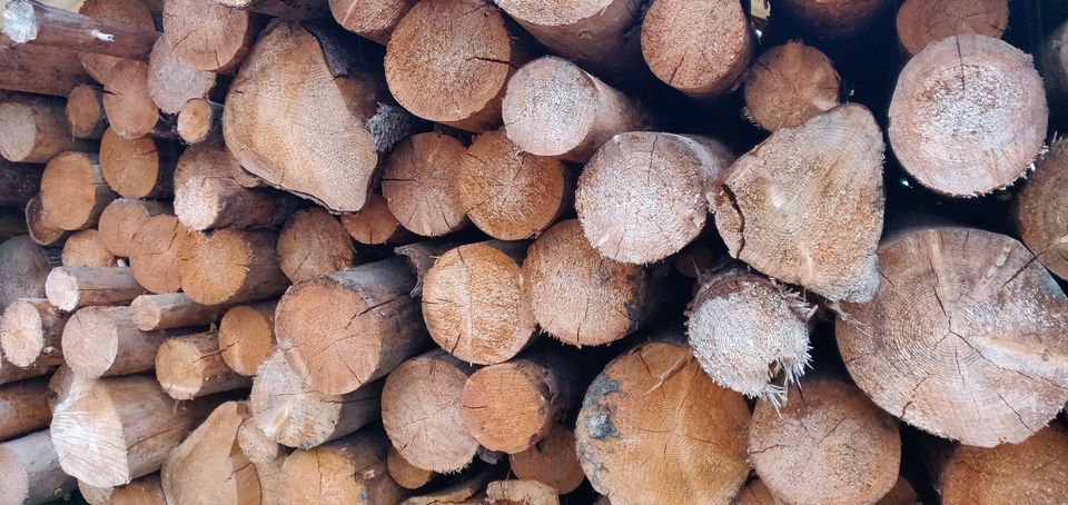 Frisches Fichtenstammholz Stammholz Holzpolter Brennholz in Ebenweiler