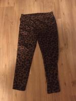 Leoparden Hose Eimsbüttel - Hamburg Lokstedt Vorschau