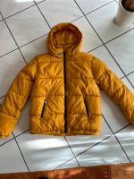 Yigga Steppjacke Jacke Jungen Gr. 164 curryfarbend/ockergelb NEU Dortmund - Husen Vorschau