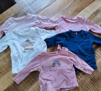 Langarmshirt Shirt Sweatshirt 5er Set Mädchen Baby Gr. 68 Niedersachsen - Schüttorf Vorschau