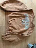 Hollister Sweatshirt Gr. XS Baden-Württemberg - Offenburg Vorschau