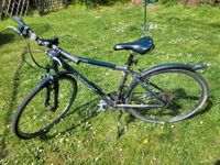 Diamant Pacer Sport 28 Zoll⁸ Fahrrad Sachsen - Flöha  Vorschau