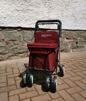 Carlett Easy Shopping - Rollator Thüringen - Borxleben Vorschau