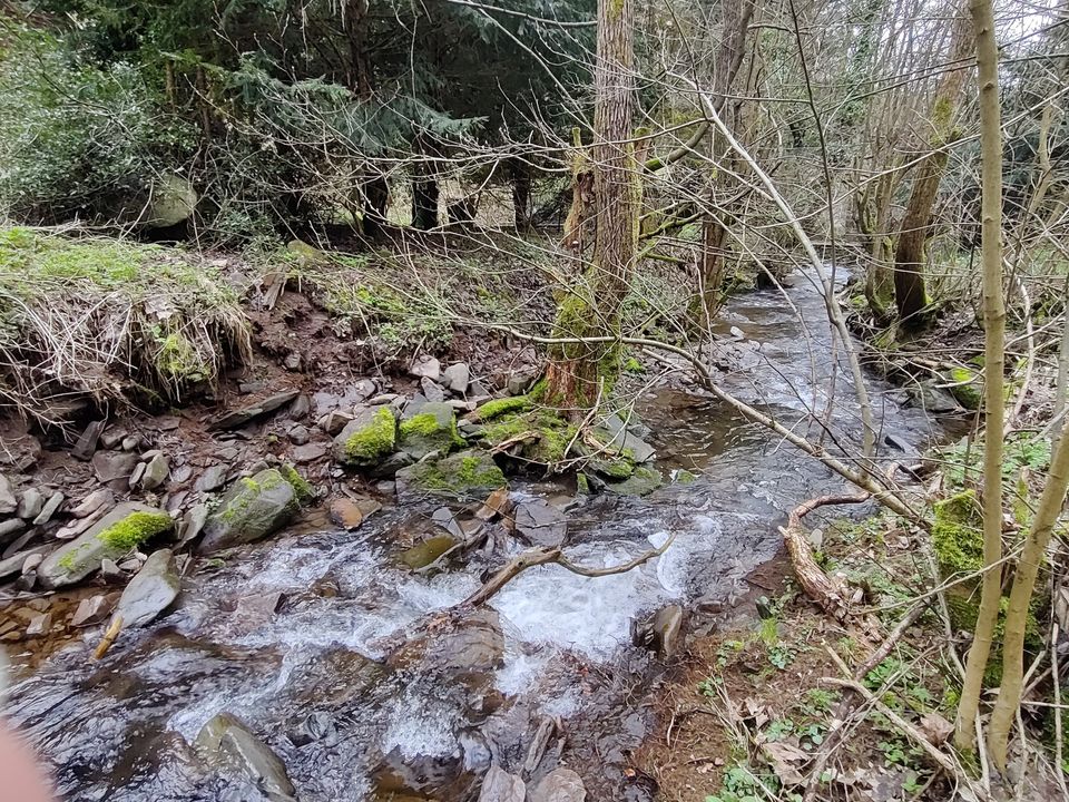 Großes naturbelassenes Grundstück in Sonneberg-Hüttensteinach in Sonneberg