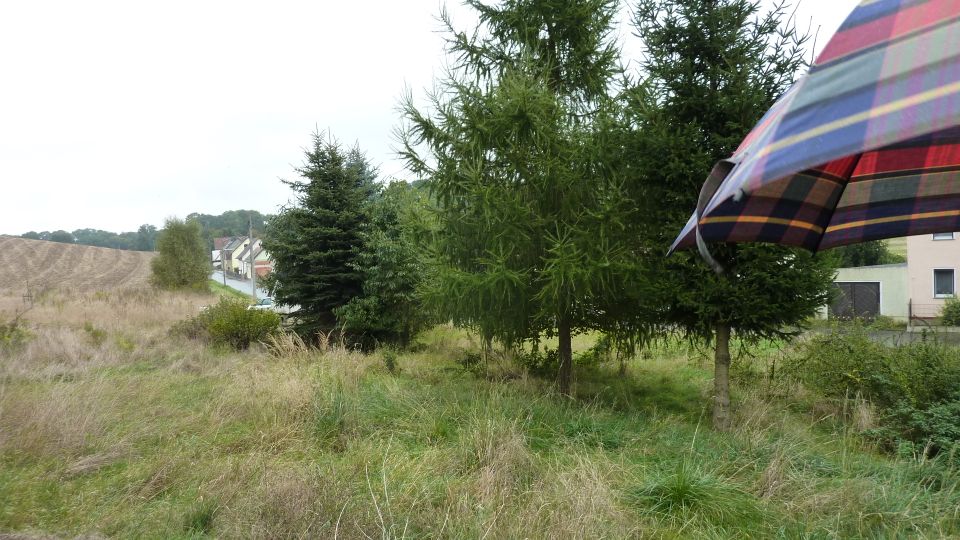 Verkaufe Bauplatz Südhang teil erschlossen in Mügeln