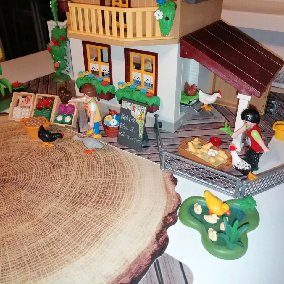 Playmobil 5120 Bauernwohnhaus NUR NUR ABHOLUNG in Salzgitter