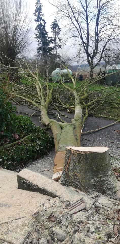 Landschaftspflege und Forstbetrieb in Fröndenberg (Ruhr)