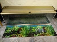 300l Aquarium Kreis Ostholstein - Stockelsdorf Vorschau