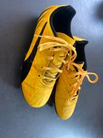 Fußballschuhe 37 Niedersachsen - Schneverdingen Vorschau