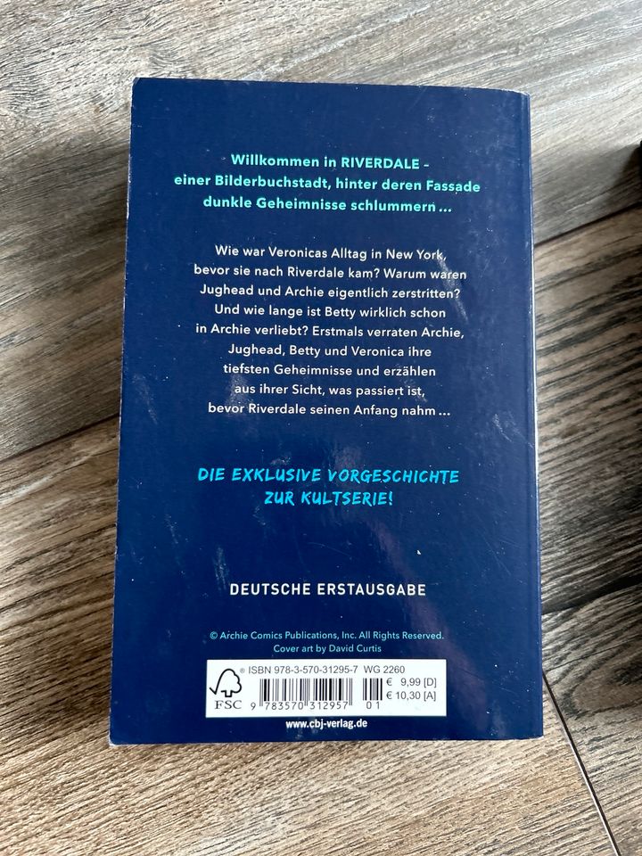 TOP-ZUSTAND ❤️ RIVERDALE Teil 1 + 2 Buch Der Tag davor in Limburg