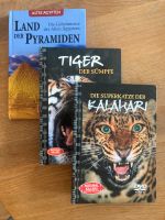 DVDs Wildkatzen und Pyramiden zu verschenken Baden-Württemberg - Schemmerhofen Vorschau