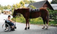 Wir suchen Reitpädagogen*in als Verstärkung für unser Team Berlin - Zehlendorf Vorschau