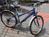 Winora Fahrrad 26 Zoll Hessen - Schöneck Vorschau