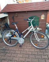 Damenrad Trekkingrad Sachsen - Hartmannsdorf Vorschau