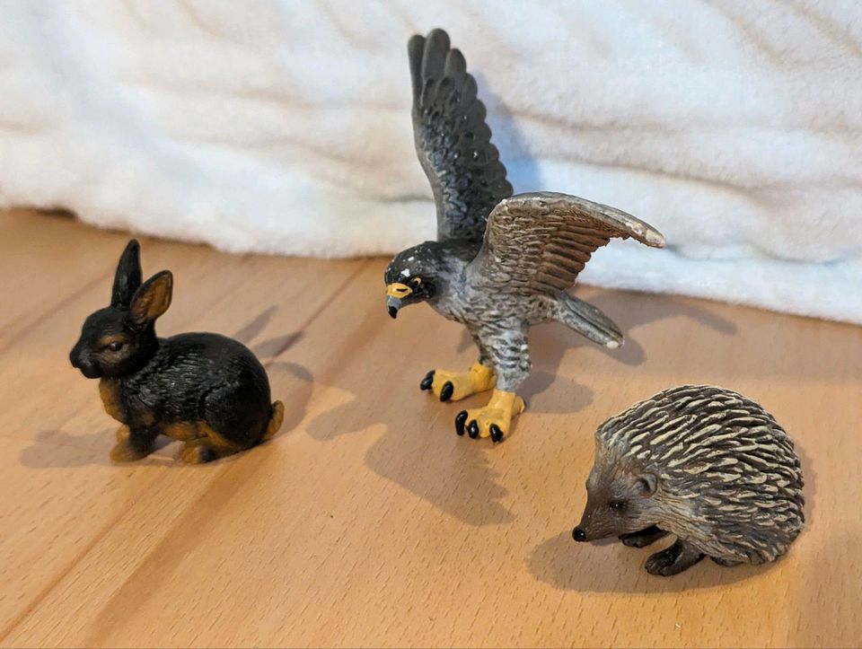 Schleich Drache, Raubtiere, Fische, heimische Tiere in Hofgeismar