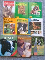 Sachbücher über Hunde Sachsen - Torgau Vorschau