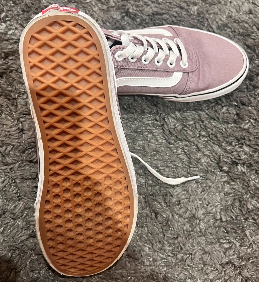 Vans Schuhe Neu in Scheinfeld