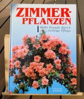 Zimmerpflanzen - Mehr Freude durch richtige Pflege Wuppertal - Langerfeld-Beyenburg Vorschau