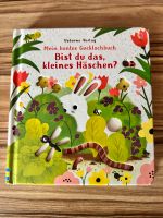 Fensterbuch, Gucklochbuch Usborne bist du das, kleines Häschen? Berlin - Tempelhof Vorschau