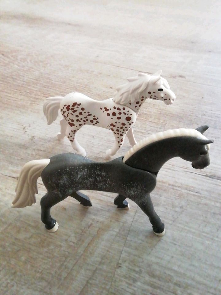 2 Playmobil Pferde in Waldenburg