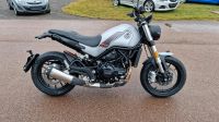 ❗️Benelli Leoncino 500❗️48 PS ❗️Nakedbike ❗️Neu Scrambler Sachsen-Anhalt - Hettstedt Vorschau