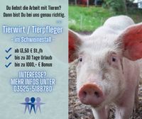 Tierwirt Schweinehaltung (m/w/d) ✔️ 13,50 €/h ✔️ Bewerben! ✔️ Sachsen - Döbeln Vorschau