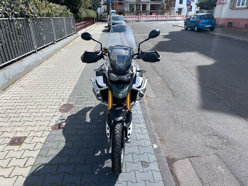 Triumph Tiger 900 Rally Pro in Frankfurt am Main