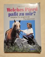 Pferdebuch Ratgeber  "Welches Pferd passt zu mir?" Brandenburg - Bersteland Vorschau