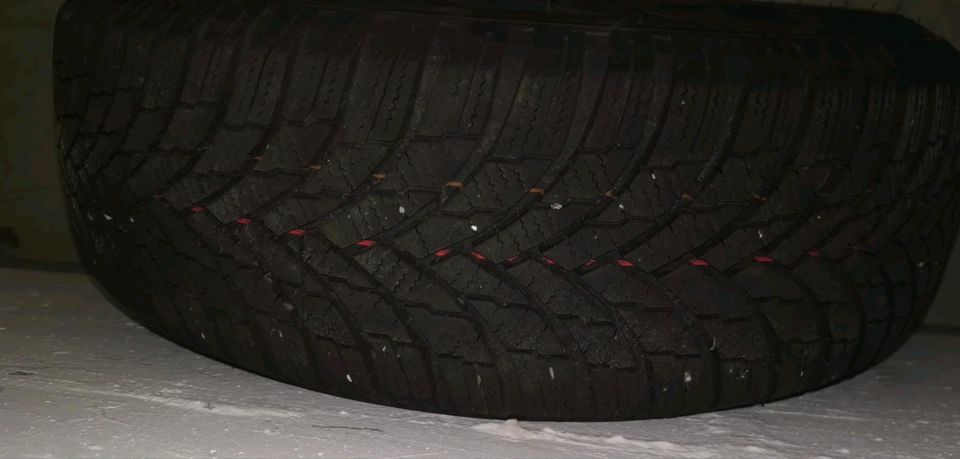 4x Winterreifen 195/65 R15  auf Alufelgen DOT 20 in Horb am Neckar