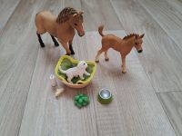 Schleich 42432 Horse Club Pferd Reiterin Zubehör Berlin - Hellersdorf Vorschau